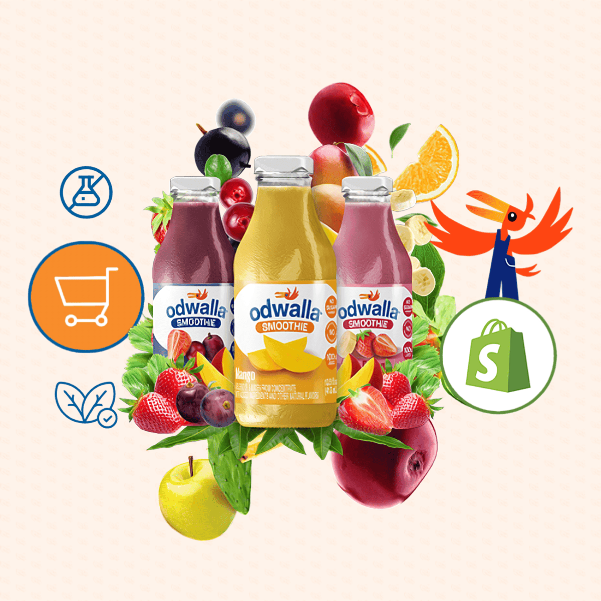ODWALLA:
De Marca Pionera a un gran jugador en el Direct To Consumer