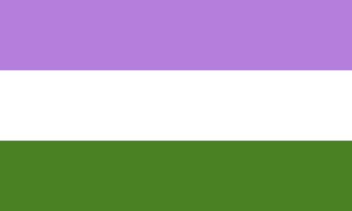 Queer or no gender bandera